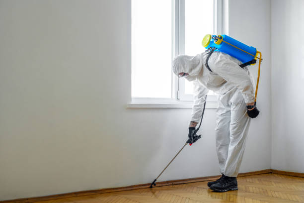 Best Exterminator Services  in San Carlos Park, FL