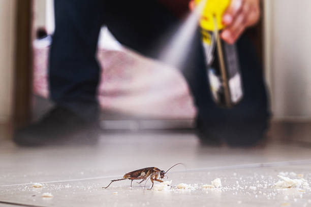 Best Local Pest Control Services  in San Carlos Park, FL