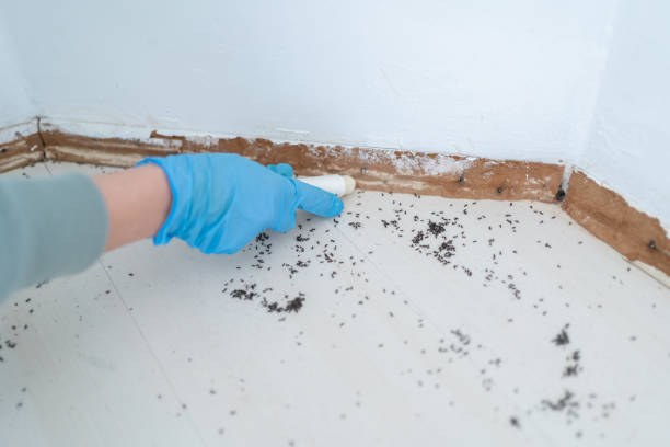Best Pest Prevention Services  in San Carlos Park, FL